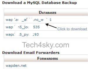 Download backup of MySQL database