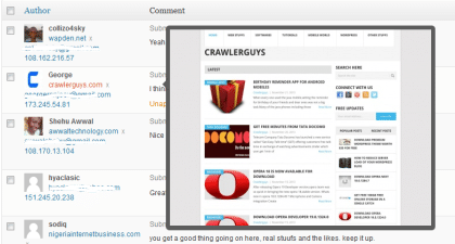 Website screenshot in WordPress comment